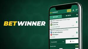 BetWinner Bookmaker A Comprehensive Guide to Online Betting