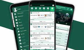Everything You Need to Know About BetWinner -808264823