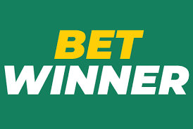 Everything You Need to Know About BetWinner -808264823