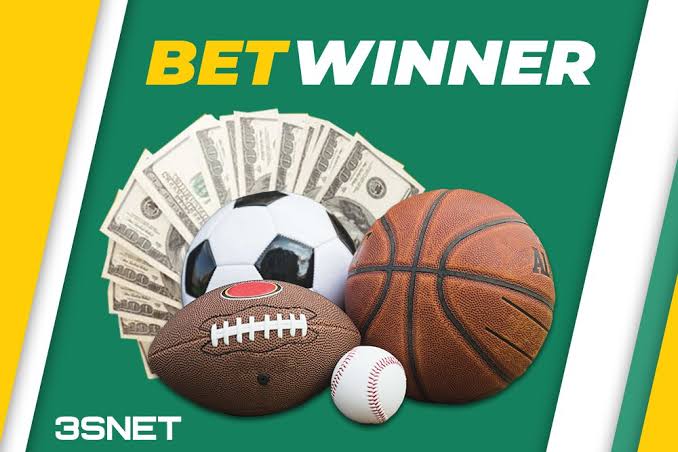 Exploring the BetWinner Platform Your Guide to Online Betting